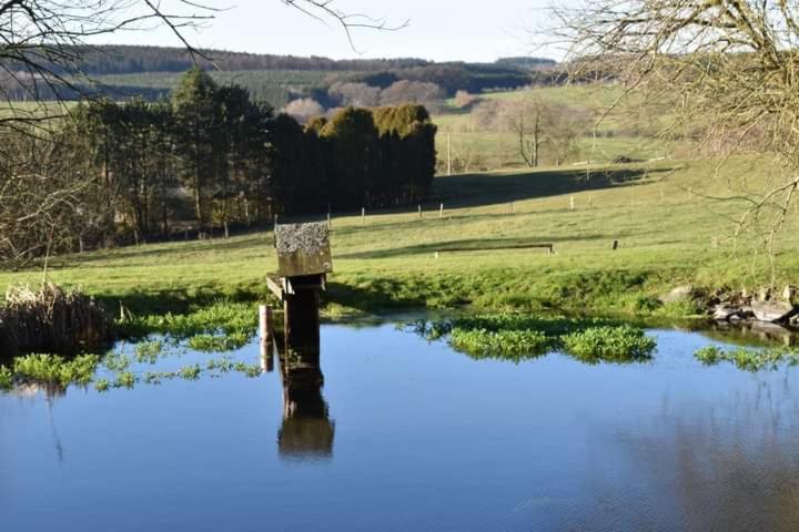 Gite Du Cheval Blanc D'Houmont Sainte-Ode 外观 照片